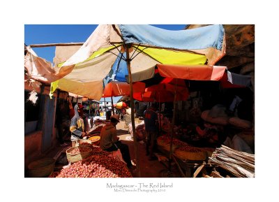 Madagascar - The Red Island 276