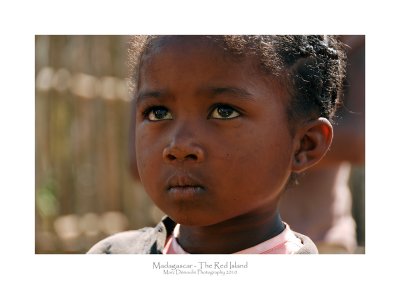 Madagascar - The Red Island 282