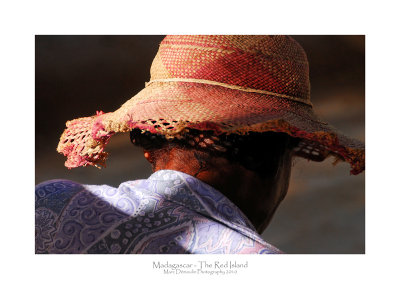 Madagascar - The Red Island 298
