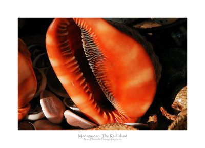 Madagascar - The Red Island 300