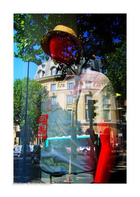 Paris Show Windows 29