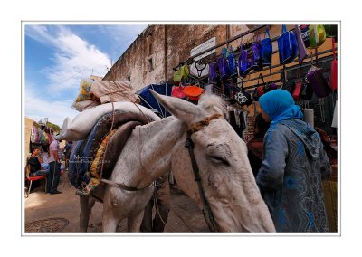 Moroccan souks and medinas 36