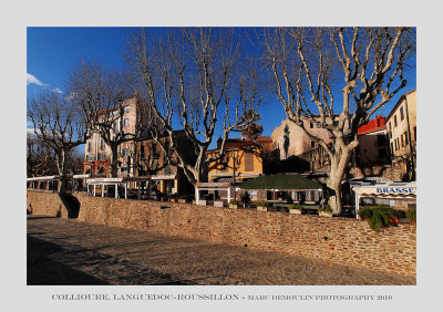 Languedoc-Roussillon, Collioure 3