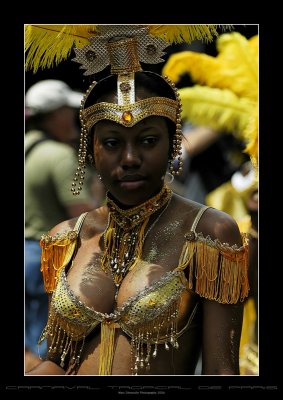 Carnaval Tropical de Paris 2006 - 13