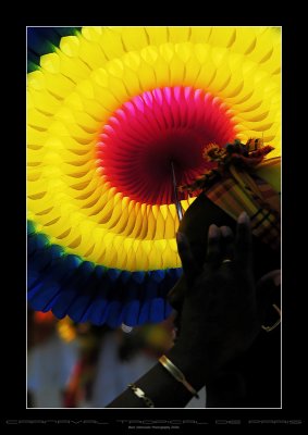 Carnaval Tropical de Paris 2006 - 17