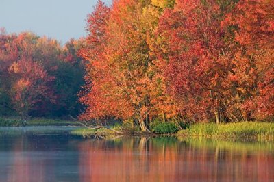 Autumn Along The Mississippi 20784