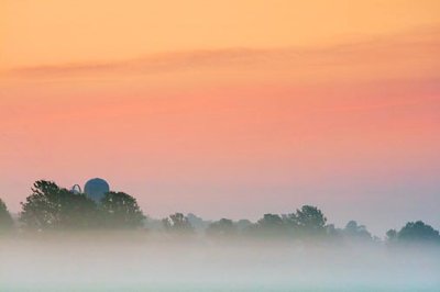 Treetops In Sunrise Mist 20819