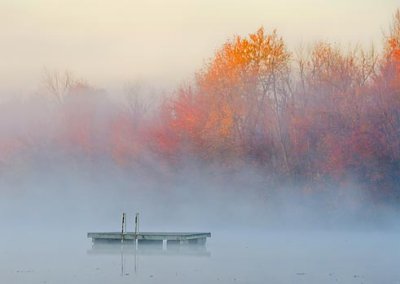 Swimming Raft In River Mist 22203