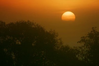 Sun Rising Out Of Fog 22800