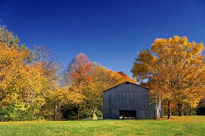 Autumn Tobacco Barn 24798