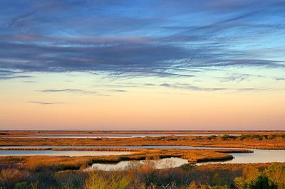 Wetlands At Sunrise 29646