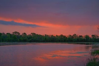 Dawn Over The Pond 46007