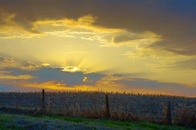 Sunset Beyond The Hill 47984