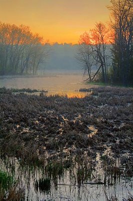 Ottawa River At Sunrise 48353-8