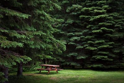 Northwoods Campsite 20090703