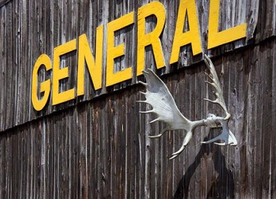 'GENERAL' Antlers 02294