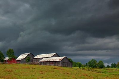 Four Barns 03964