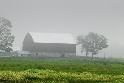 Barn In Fog & Rain 04851