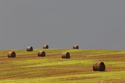 Bales On A Hill 05582