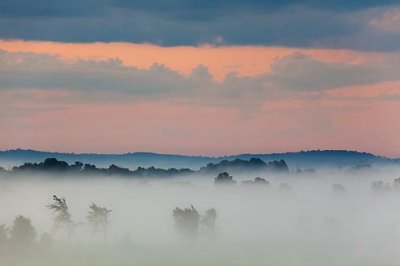 Foggy Daybreak 07343-4