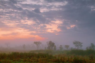 Foggy Cloudy Sunrise 07241-3