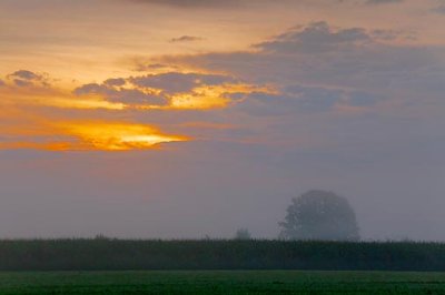 Foggy Cloudy Sunrise 20090911