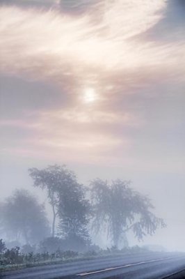 Clouded Sun Over Fog 20521