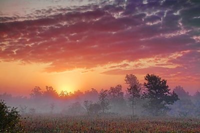 Foggy Sunrise Landscape 21190