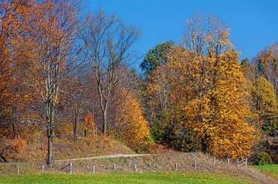 Autumn Backroad 23609