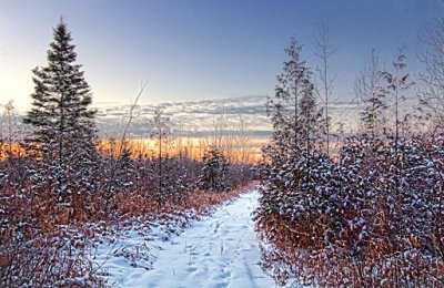 Snowy Rideau Trail At Sunrise 03335