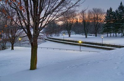 Rideau Canal In Winter 03554-7