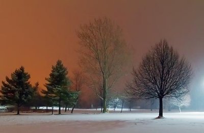 Snowfall In The Park 20110104