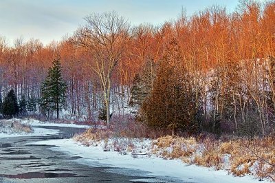 Little Crosby Creek At Sunrise 04773-4