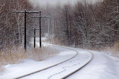 Tracks On Tracks 04879