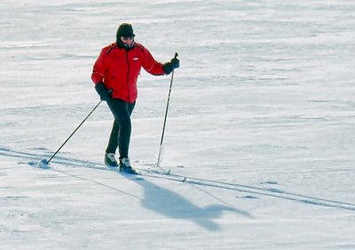 Cross-country Skiier 05214