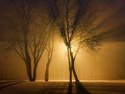 Fog Light 20110128