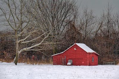 Little Red Shed 05345