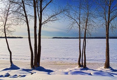 Frozen Ottawa River 20110130