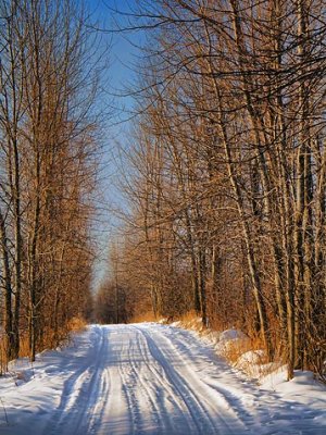 Snowy Backroad 05402