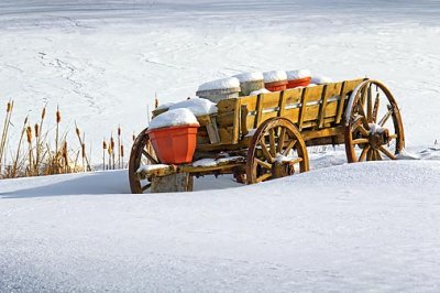 Snowy Old Milk Wagon 20110208