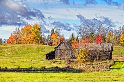 Autumn Barns 29432