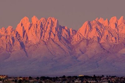 Organ Mountains in Sunset 31630