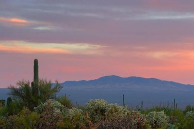 Sierrita Mountains At Sunset 85871