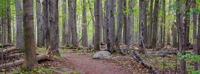 Lime Kiln Trail Panorama 89275-7