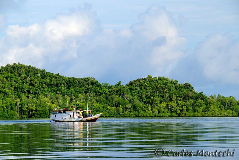 DSC_0306.jpg
