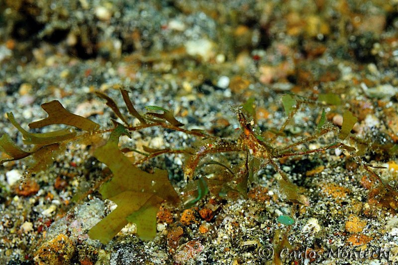DSC_9837.jpg
