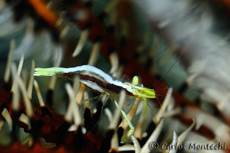 DSC_0400.jpg