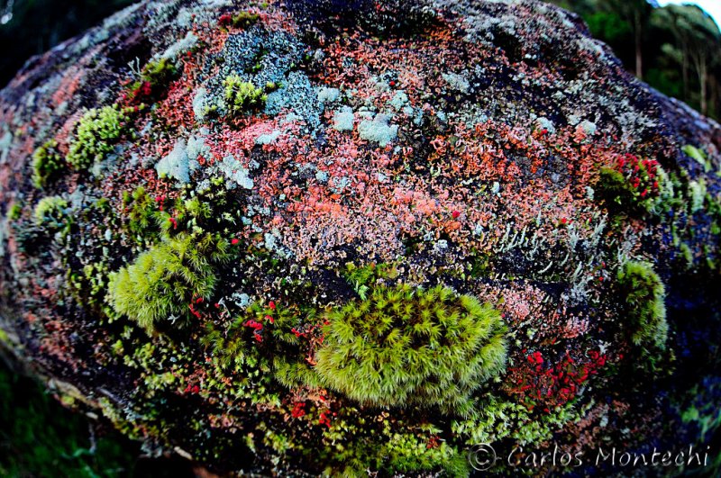 DSC_2562.jpg