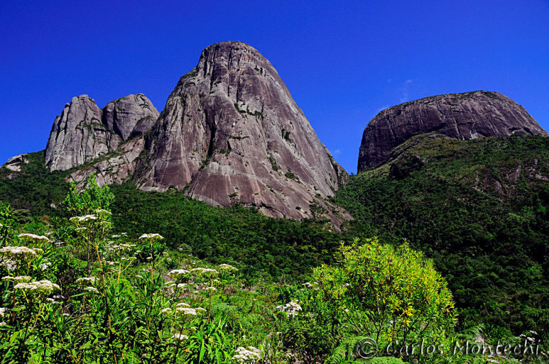 DSC_2601.jpg