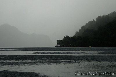 DSC_0198.jpg